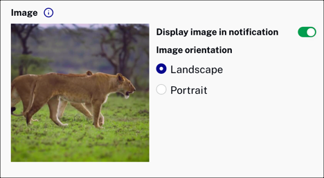 Asset image