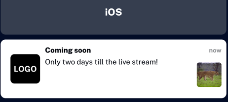 Notification preview
