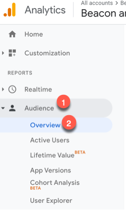 audience overview